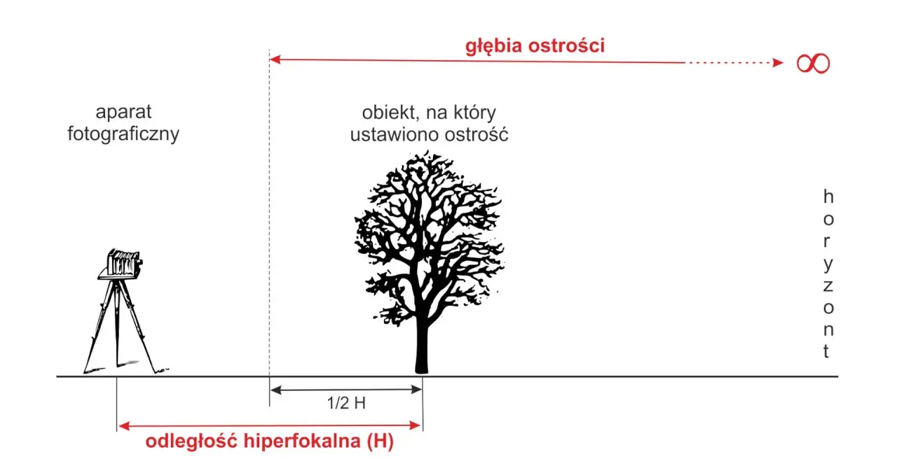 Schemat ilustruje głębię ostrości i odległość hiperfokalną (H) dla aparatu fotograficznego ustawionego na drzewo.