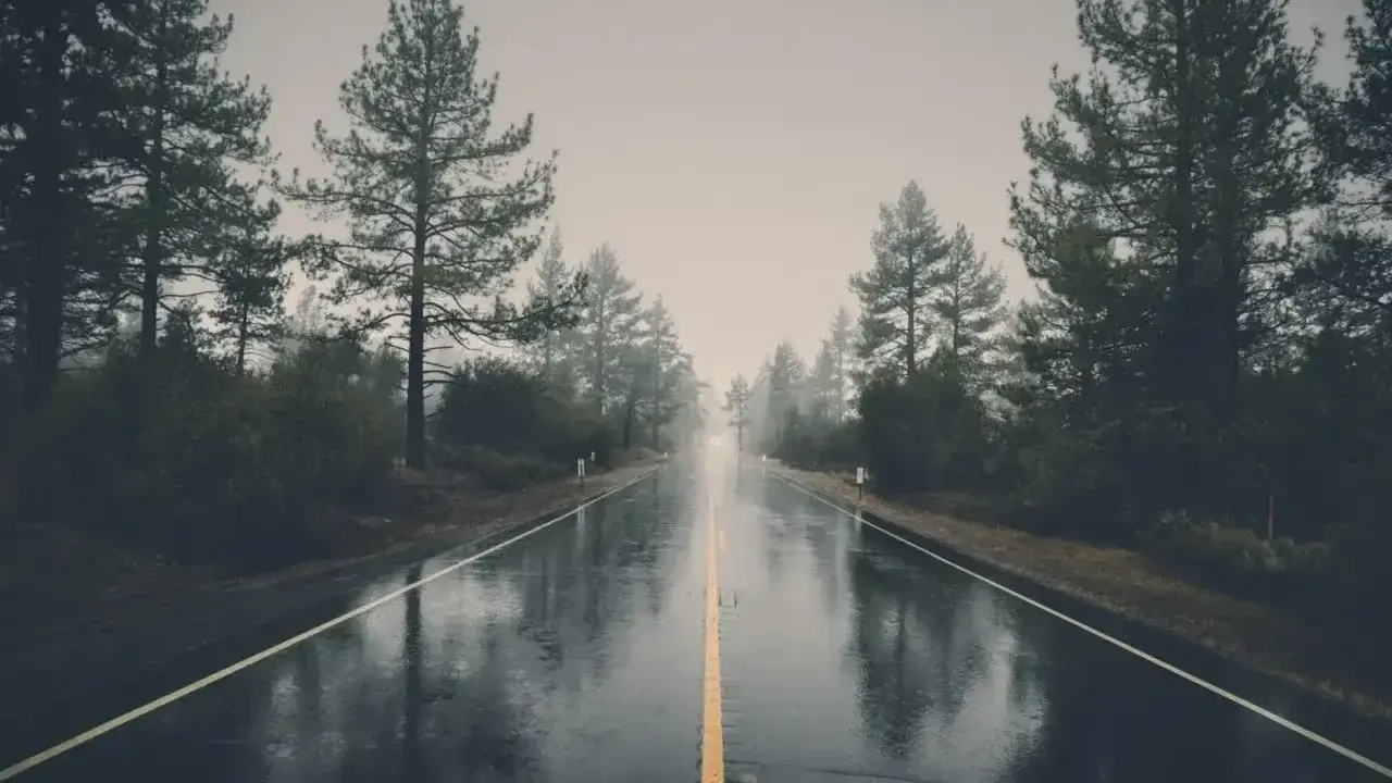 Droga w deszczu, gdzie światło i cień w fotografii tworzą tajemniczą atmosferę. Drzewa po bokach i mokra nawierzchnia odbijają mgliste niebo.