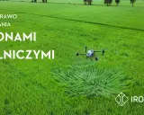 Nowe prawo do latania dronami rolniczymi. Dron DJI w locie nad zielonym polem. Fly safe!