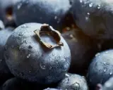 Niesamowite zdjecia makro jagód pokrytych kroplami rosy. Każda jagoda wygląda jak mały, niebieski świat.