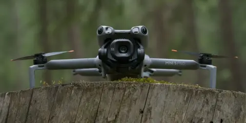 Szary dron DJI Mini 5 Pro z kamerą na gimbalu spoczywa na pniu drzewa w lesie.