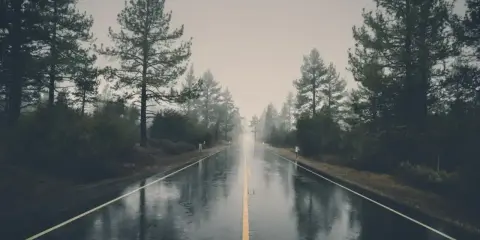 Droga w deszczu, gdzie światło i cień w fotografii tworzą tajemniczą atmosferę. Drzewa po bokach i mokra nawierzchnia odbijają mgliste niebo.