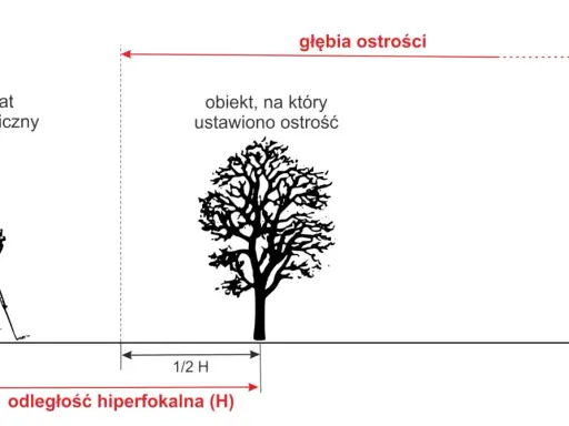 Schemat ilustruje głębię ostrości i odległość hiperfokalną (H) dla aparatu fotograficznego ustawionego na drzewo.