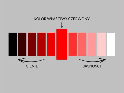 Paleta pokazuje różne odcienie czerwieni, od ciemnych cieni po jasne tony. Kolor właściwy czerwony jest centralnym punktem.