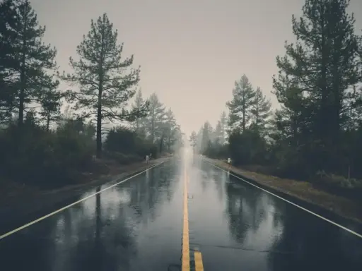 Droga w deszczu, gdzie światło i cień w fotografii tworzą tajemniczą atmosferę. Drzewa po bokach i mokra nawierzchnia odbijają mgliste niebo.