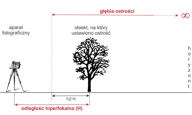 Schemat ilustruje głębię ostrości i odległość hiperfokalną (H) dla aparatu fotograficznego ustawionego na drzewo.