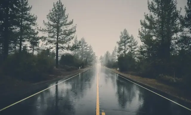 Droga w deszczu, gdzie światło i cień w fotografii tworzą tajemniczą atmosferę. Drzewa po bokach i mokra nawierzchnia odbijają mgliste niebo.